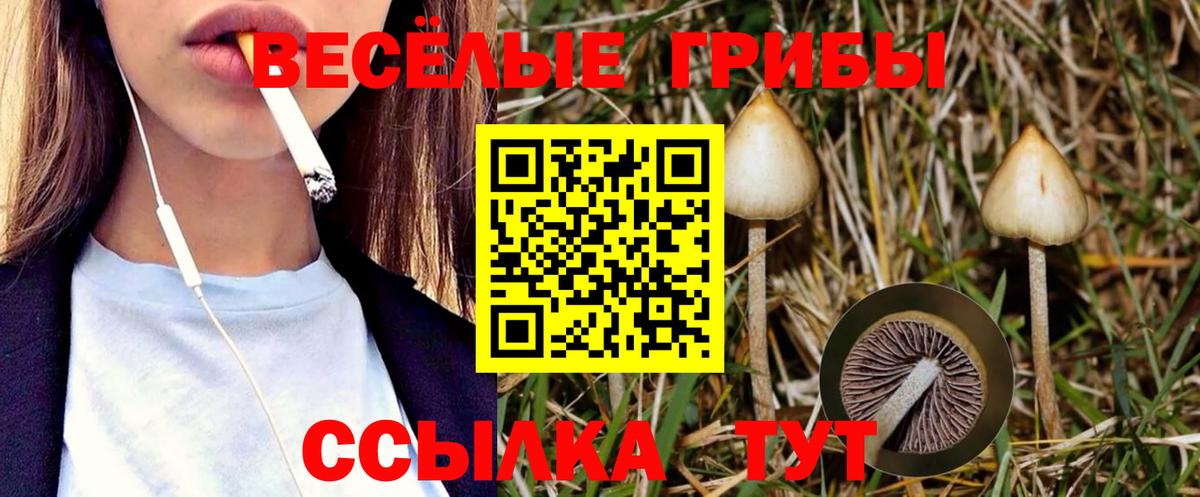 сколько стоит  Псилоцибиновые грибы ЛСД  Вход с VPN  Ейск 